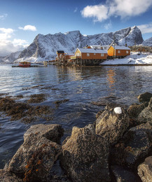 Sakrisoy / Lofoten island, Norway