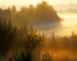 В тумане утреннем...... / Петербург. Парголово. Июль