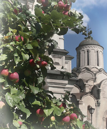 Московские яблоки... / Андроников монастырь в Москве...