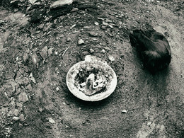 Осенние сны / ***