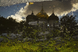 Прорастание / Отражение в луже куполов Троицкого собора во Пскове.