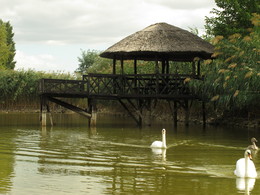Лебединное озеро / озеро в селе Пуркары