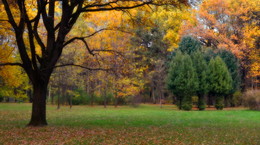Осенний лес / Ботанический сад