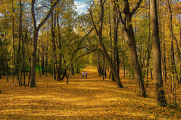 Осень золотая листья рассыпает / В старом парке