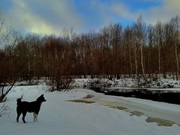 Тёплый январь. / Упряма лесная река. Спорит с морозами.
