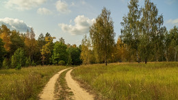Осенений пейзаж / Осенений пейзаж