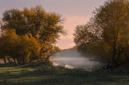 Утро / река,туман,листья