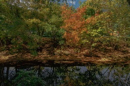 первые краски осени / прогулка по парку Кусково