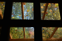 Осень в окне / Осень в окне