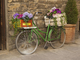 Цветочный велосипед / На улицах Флоренции