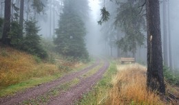 Туманными дорогами / Прогулки в туманное утро по склонам