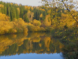 Осень - кошка в рыжих сапогах / [img]https://c.radikal.ru/c06/1810/f2/03ba46014a7a.jpg[/img]