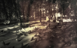 голуби в парке / традиционный осенний поход в лавру.