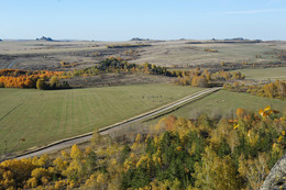 Идилия / Осенние краски и стадо на пастбище