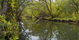 Октябрьское утро / Природа Беларуси