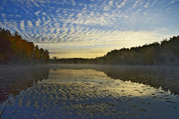 На заре..... / Осиновая Роща. Октябрь