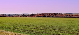 Осенняя панорама / Осенняя панорама