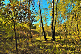 &quot;В старом парке заблудилась осень ...&quot; / Осенний этюд ...