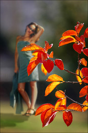 Запах осени / Гуляя по парку с внучкой увидел красивую ветку с пожелтевшими листьями...
Снял несколько раз, этот снимок наиболее удачный