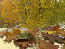 Запах осени / осень, дождь, осенние листья, деревья