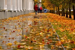 Запах осени / Дождь. Осень. Петергоф