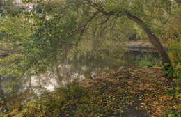 Запах осени / Осень в Харитоновском парке