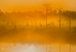 Оранжевый туман / Рассвет на болотно-озёрном комплексе. Из фотопроекта «Магия Ленинградской области».