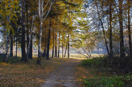 Октябрь / Первые дни октября