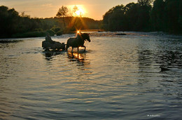Брод / Брод через реку Красивая меча в Тульской области