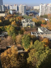 Осень золотая / Желтая осень