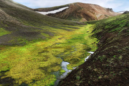 Зелёное золото / Исландия