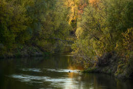 Свияга... (2) / Река Свияга, осень 2018 года.