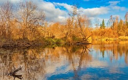 осенняя фоточка 55 / РП Елкино, октябрь 2018 года от Р. Х.