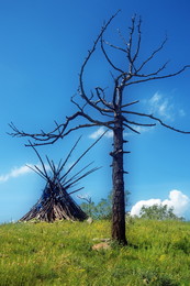 Дерево-отдельно, ветки-отдельно / Июль 2018г, Эрдэнэт (Монголия)