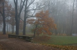 Осеннее утро... / Екатерининский парк