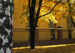  / осень