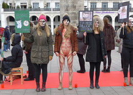 В защиту животных / 6 февраля 2016 года у Ратуши на главной площади Гамбурга прошла акция в защиту животных. Организатор - гамбургское общество защиты животных.