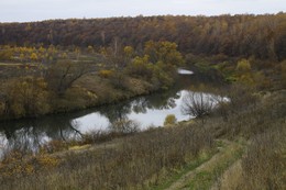 река Осётр (Московская область) / Осень в Подмосковье