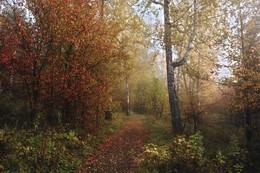 Осенняя тропинка. / ***