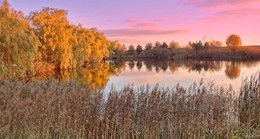 Позолоченный сезон / Золотой сезон на озере в Спасское-Лутовиново