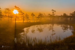 Озерцо на рассвете / Туманный рассвет на болотно-озёрном комплексе.
Из фотопроекта «Магия Ленинградской области».