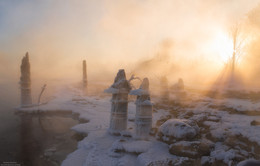 Сквозь деревья. / Московская область, город Дубна, берег реки Волга. Бывший причал, территория ГЭС. 
7 ‎февраля ‎2017 ‎год.
