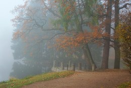 Туманное утро... / Октябрьское утро в Екатерининском парке