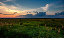 На закате / На закате легкий ветерок в траве