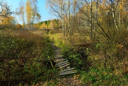 Старый мостик в осень ... / "Эта теплая винная осень
Опьяняет своей красотой,
И среди неподвижности сосен
Лист березы звенит золотой ..."
О.Бондарук