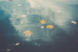 Мрамор осени / Осенние листочки, отражение неба в воде