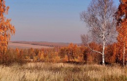 Осенние расцветки, как у рыжей лисы / Осенние расцветки, как у рыжей лисы