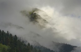 В тумане / Долина Теберды