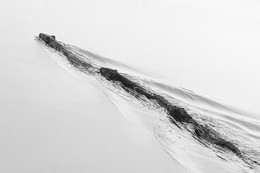 Чувство привязанности / Американские норки. Россия. Тульская область. Ленинский район. Архангельское