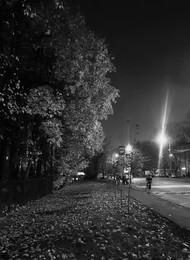  / Осень ночь дорога